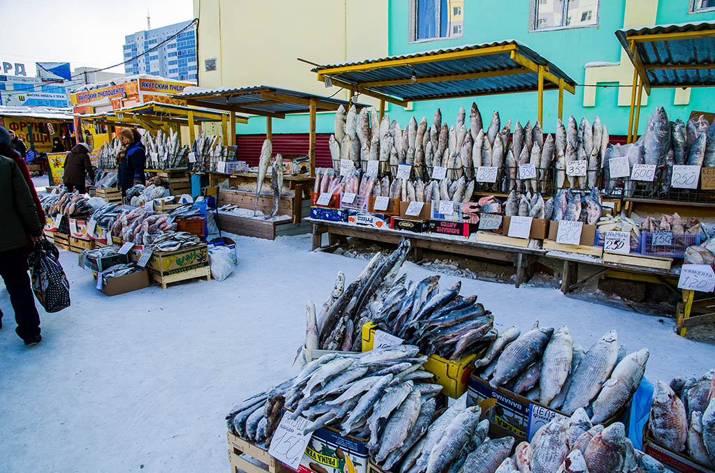 西伯利亞冰城──雅庫茨克，世界上最寒冷的城市